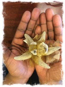 Starfish amulet - mindful and healing.