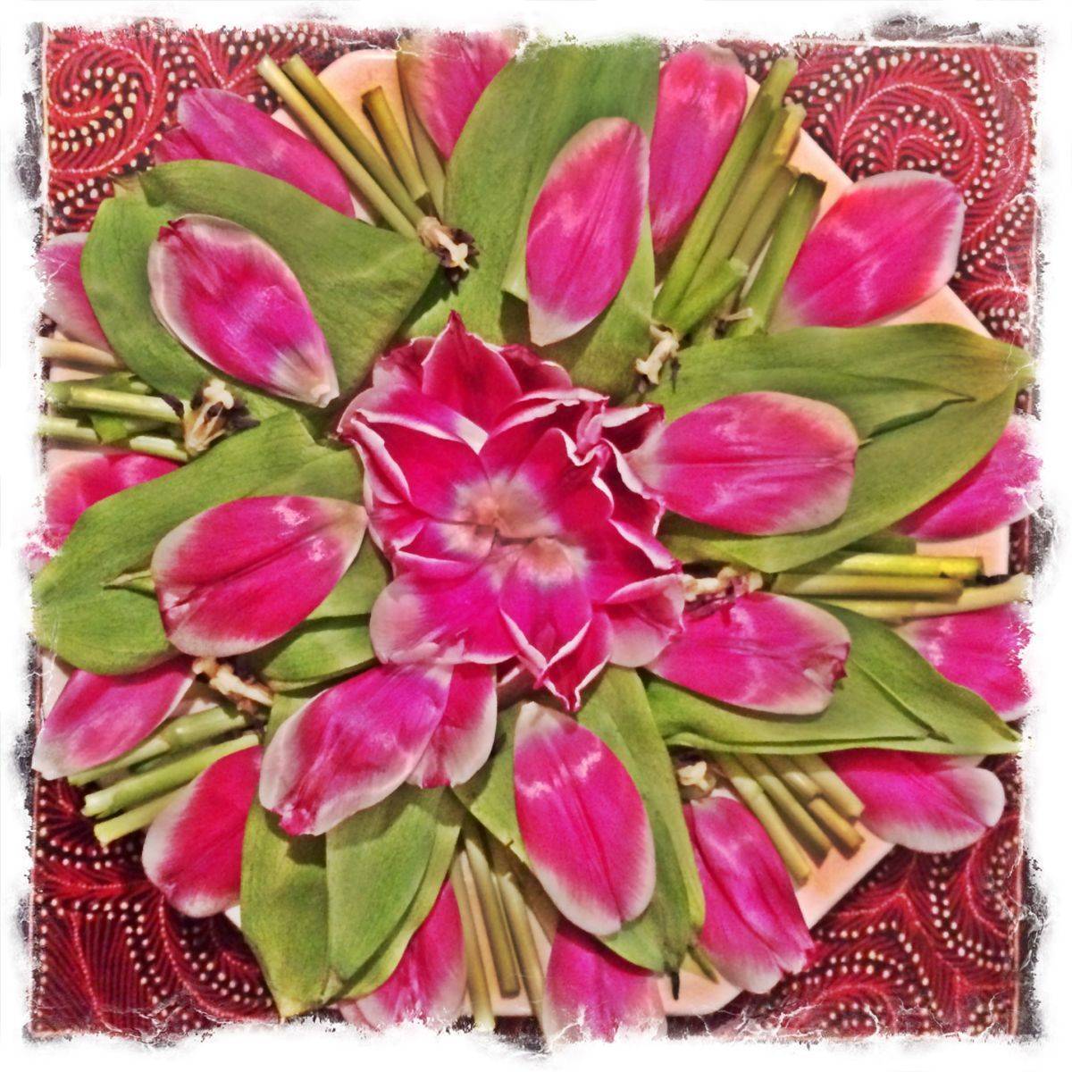 Nature Mandala created from tulips that were beginning to fade.
