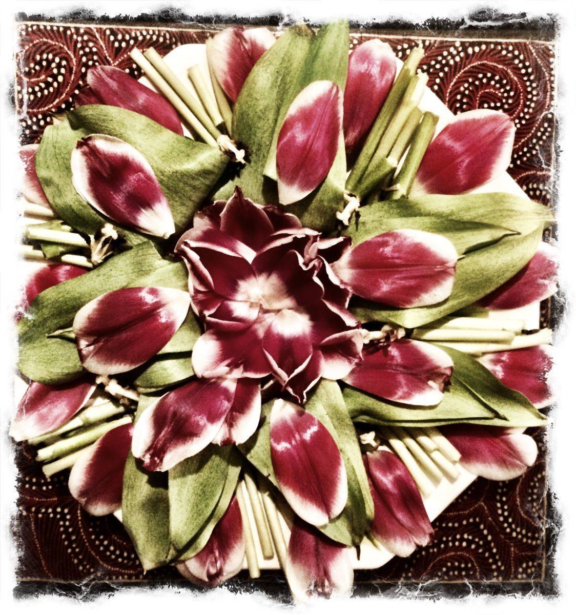 Four days later - Nature Mandala created from tulips that were beginning to fade.