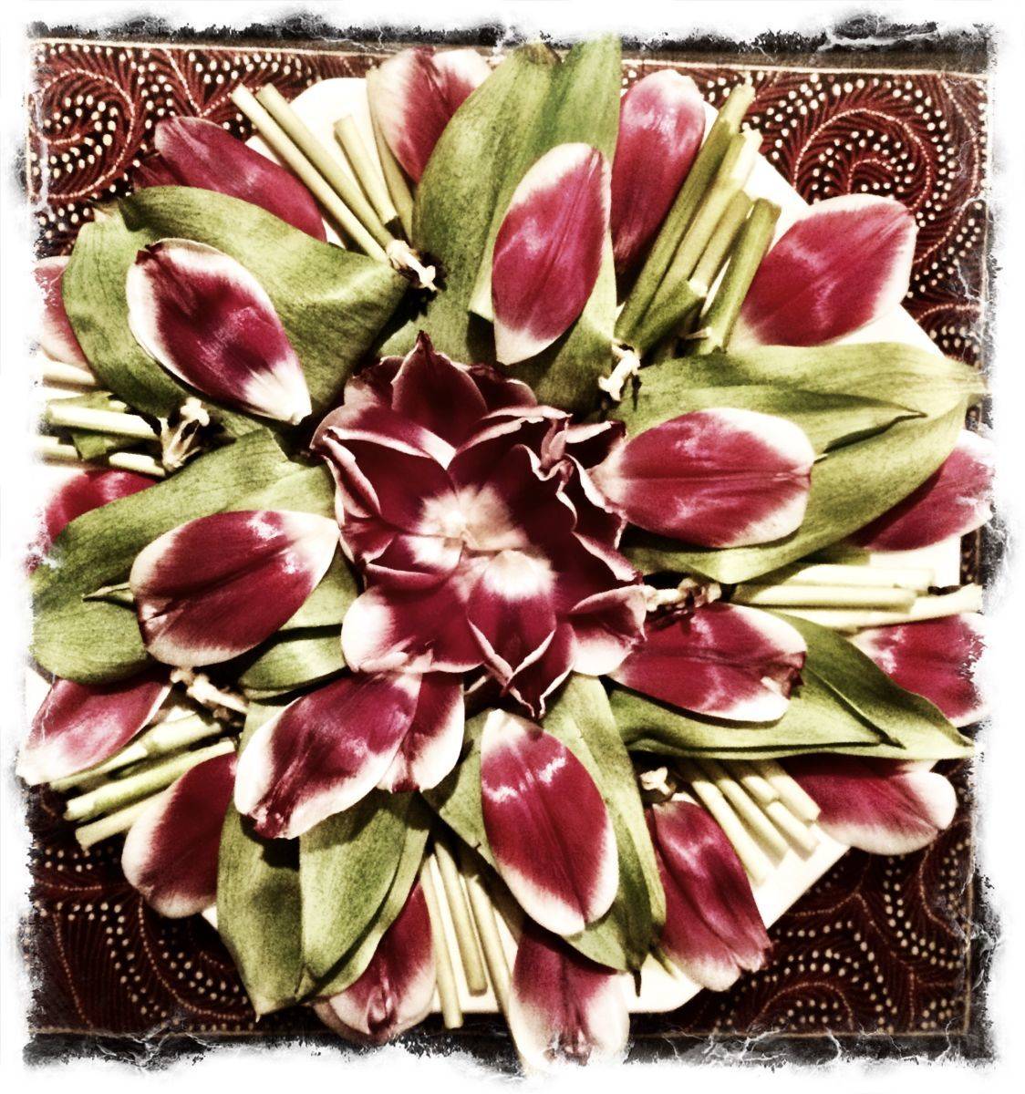 Four days later - Nature Mandala created from tulips that were beginning to fade.